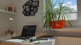 Homeoffice mit Hydrokultur